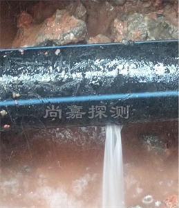 宝兴消防管道漏点探测