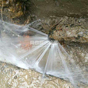 宝兴自来水管道漏点检测